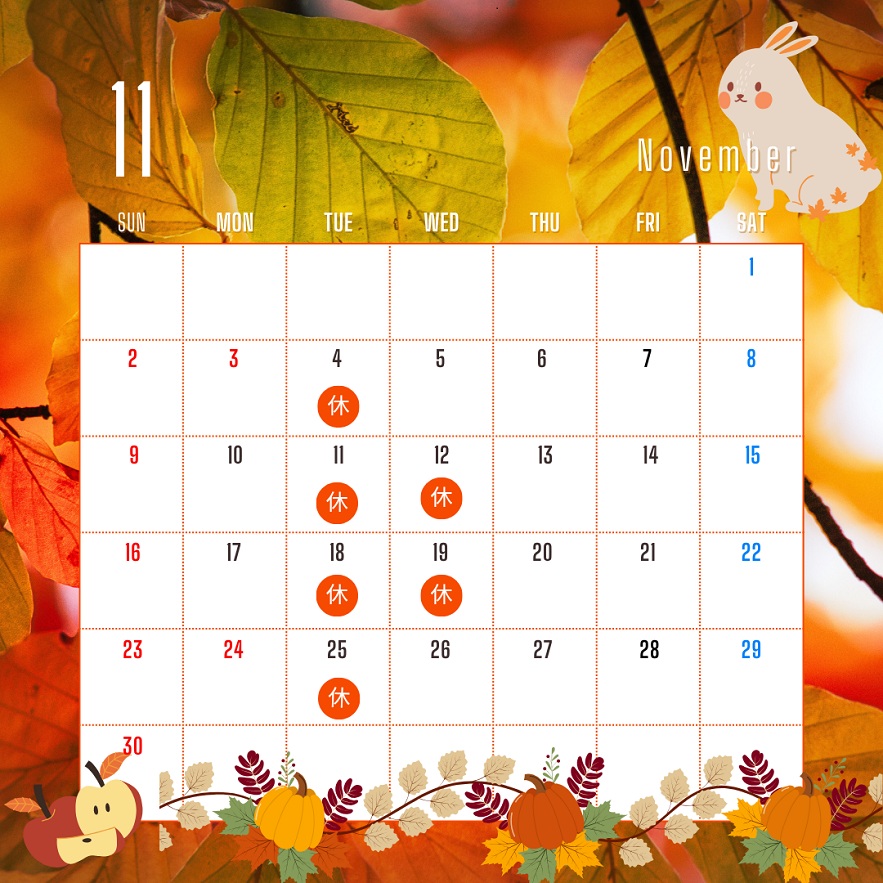 11月になりました🌞